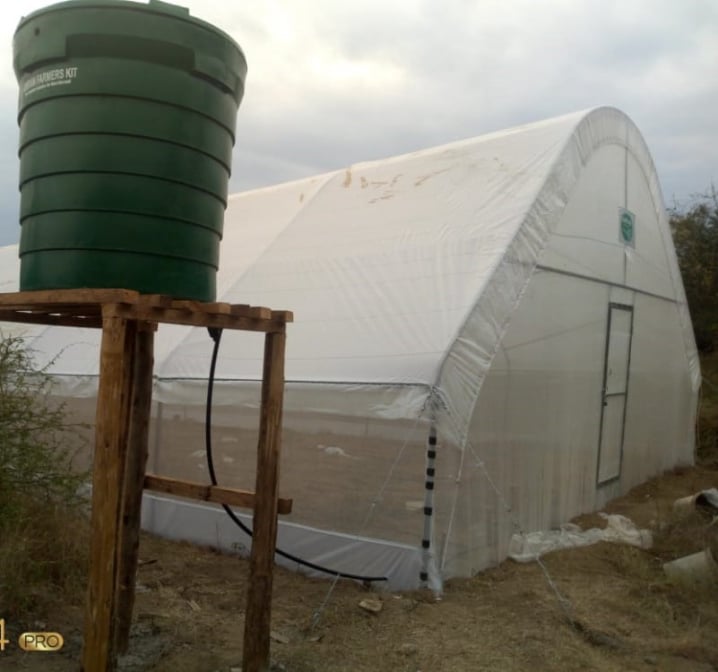 Green house for growing vegetables