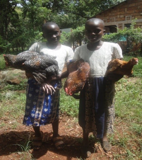 Children and caregivers supported with improved Kienyeji chicken at Tunyai