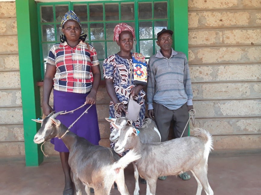 Enhancing Dairy goats rearing